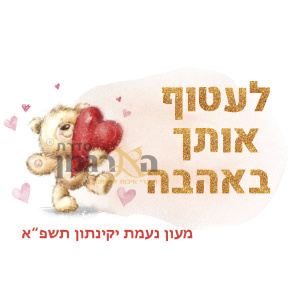 פליז דגם דובי לב
