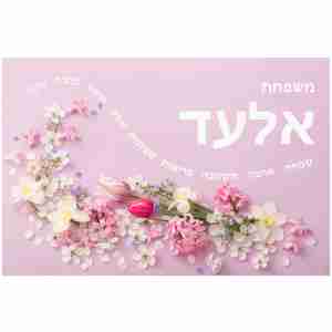 דגם אלעד ורוד