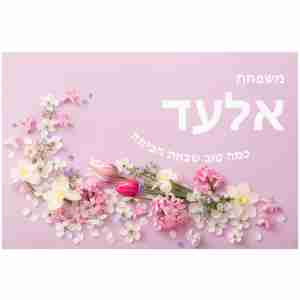 דגם אלעד כמה טוב שבאת הביתה