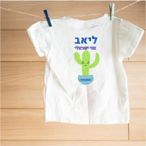 דגם צבר ליאב