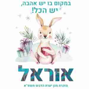 תיבת אחסון דגם קנגורו טורקיז