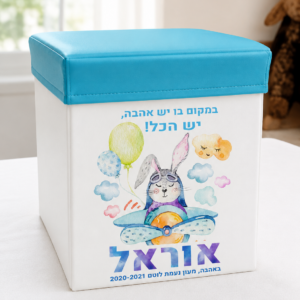 תיבת אחסון דגם ארנב במטוס