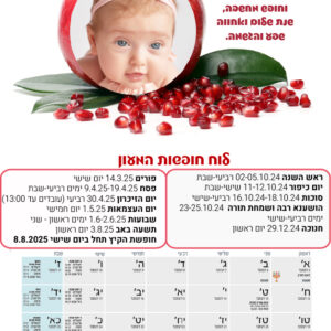 דגם רימון עם תמונה