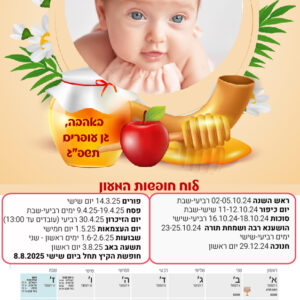 תמונה דגם 202
