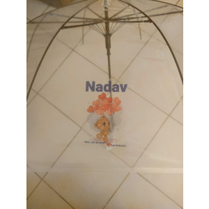 מטריה שקופה דגם דובי לבבות