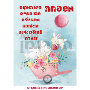 דגם ארנבונים