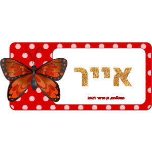 קופסת אוכל אייר