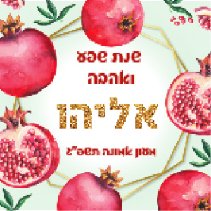 מחזיק מפתחות מסגרת רימונים עם שם הילד/ה