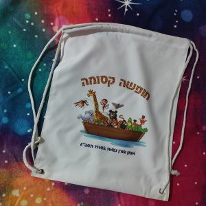 דגם תיבת נח