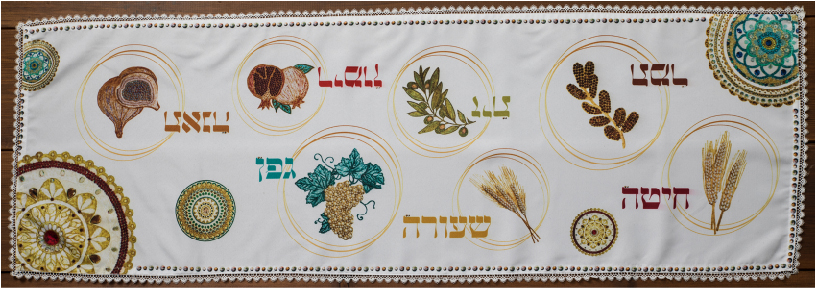 ראנר דגם ארגמן