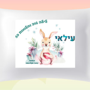 דגם ארנב עם מתנה