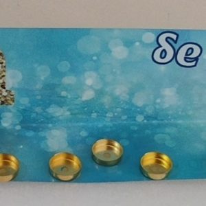 חנוכייה דגם בן