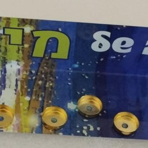 חנוכייה דגם מיכאל