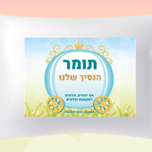 דגם כרכרה תומר