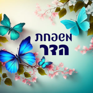 דגם הדר