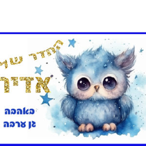 דגם אדיר