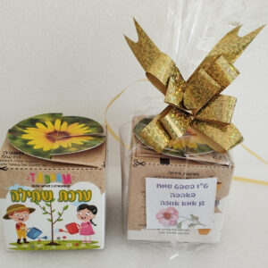 ערכת שתילה חינוכית פרחים