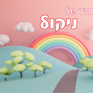 דגם ניקול
