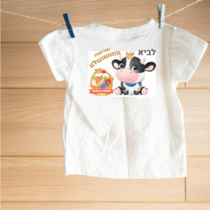 חולצות לשבועות 22 שח