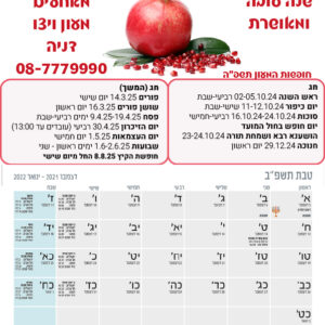 A4 דגם רימון