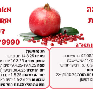 מגנט עם חופשות הגן 'רימון'