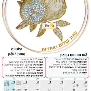 לוח שנה A4 דגם צאלון