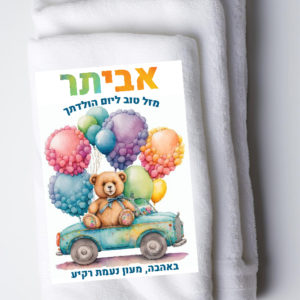 פליז דגם דובי במכונית