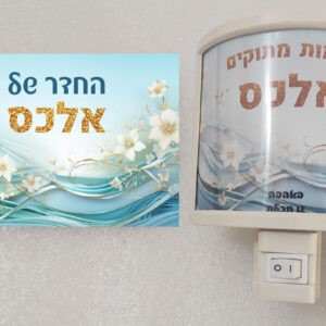 מארז דגם אלכס