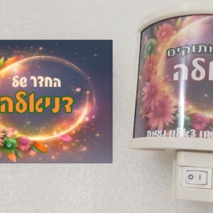 מארז דגם דניאלה