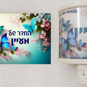 מארז דגם מעיין