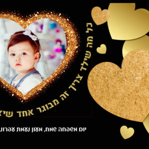 תמונה מושלגת דגם 4