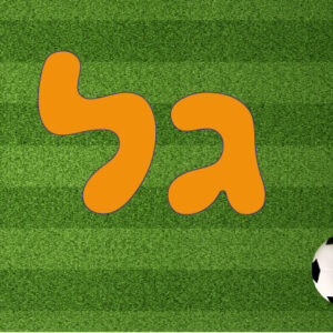 קופסת אוכל דגם כדורגל גל