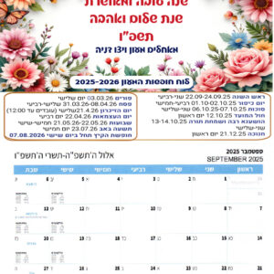 A4 דגם פרפרים