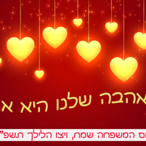 מגנטים קסומים החל מ 9 שח