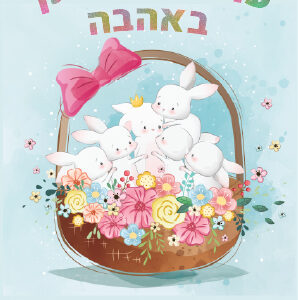 מגנט 'סלסלה'