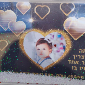 תמונה מושלגת 30 שח