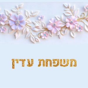 דגם עדין