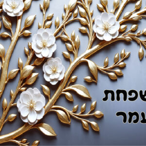 דגם עמר