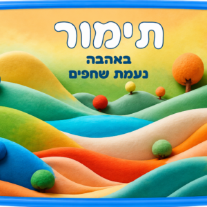 קופסת אוכל דגם תימור
