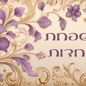 דגם אחדות