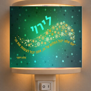 דגם לירוי