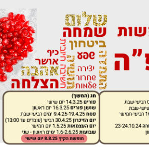 לוח חופשות עם מגנט 11 שח